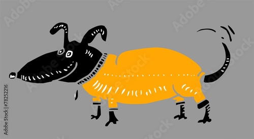 Funny dressed dog