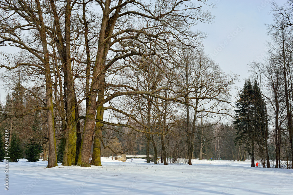 Winter sunny landscape in Pavlovsk garden. Winter sunny landscape in Pavlovsk garden.