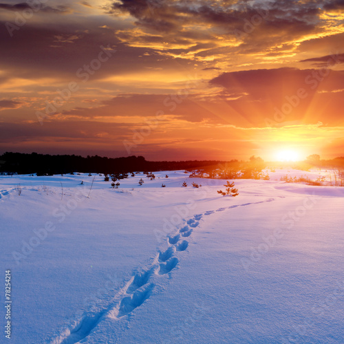 Patway on snow to sunset © Pavlo Klymenko