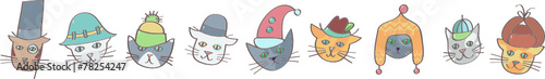 Cats in hats