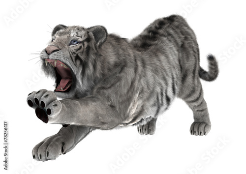 Fototapeta Naklejka Na Ścianę i Meble -  White Tiger