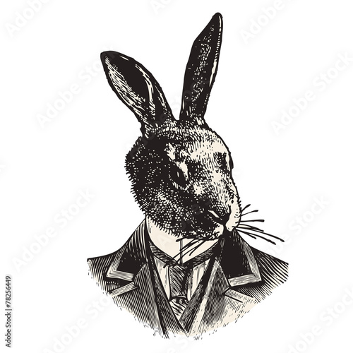 Monsieur Lapin