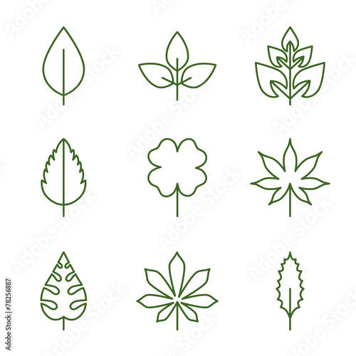 Leaf icon