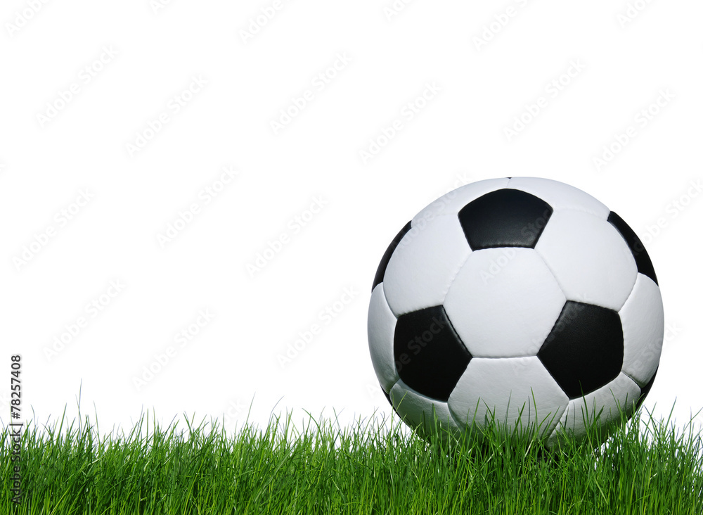 Obraz premium soccer ball