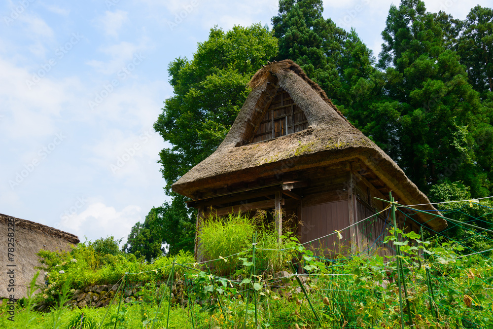 Historic Village of Gokayama in summer, Ainokura Gassho-zukuri v Historic Village of Gokayama in summer, Ainokura Gassho-zukuri v