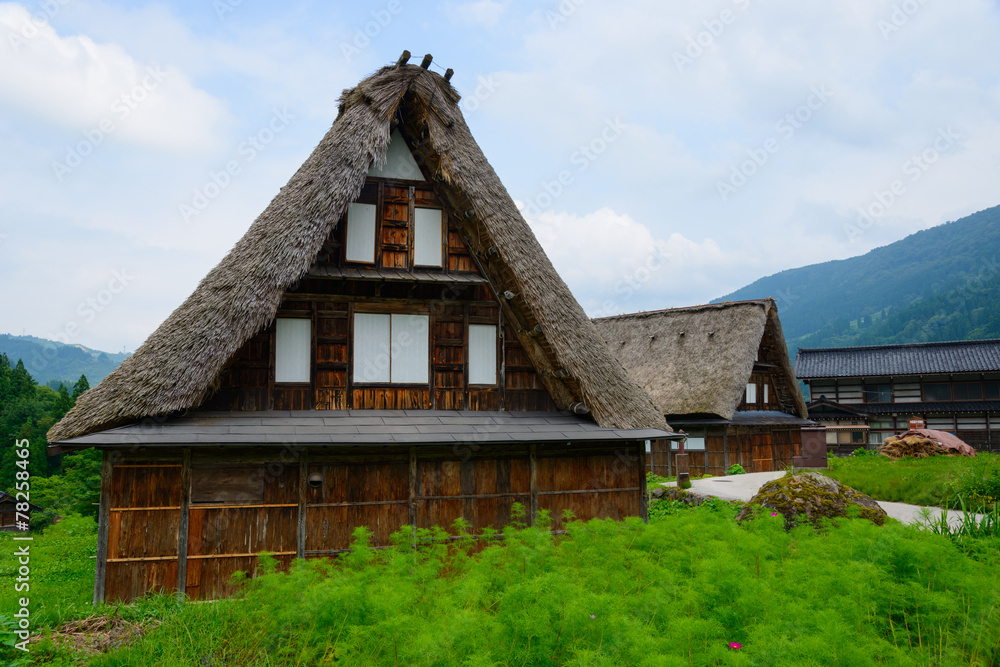 Historic Village of Gokayama in summer, Ainokura Gassho-zukuri v Historic Village of Gokayama in summer, Ainokura Gassho-zukuri v