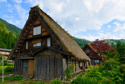 Historic Village of Shirakawa-go in summer