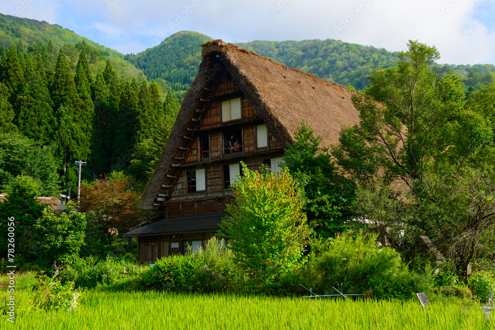 Historic Village of Shirakawa-go in summer Historic Village of Shirakawa-go in summer