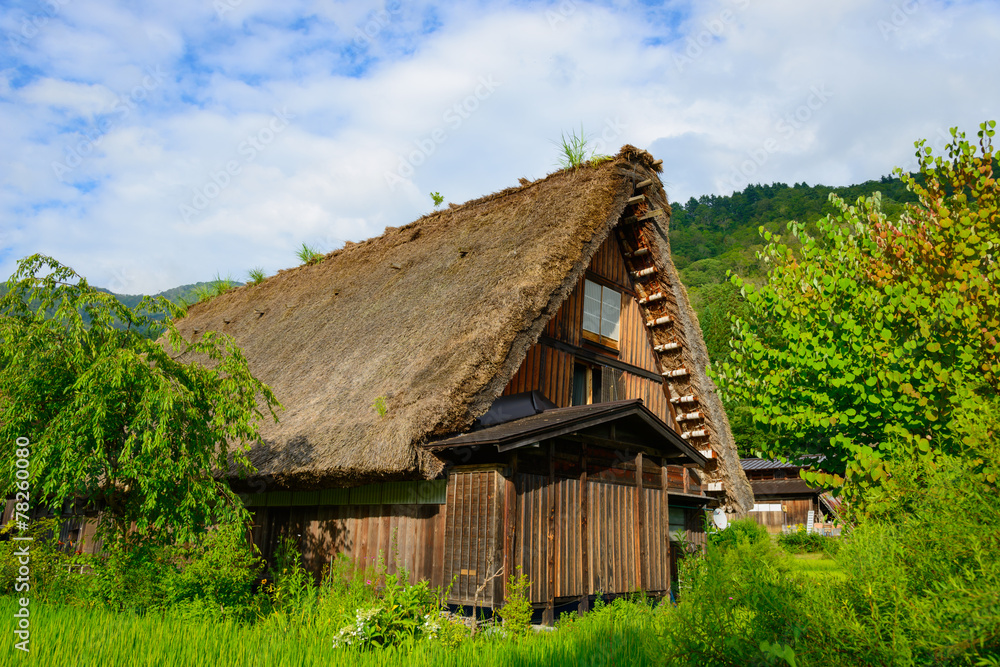 Historic Village of Shirakawa-go in summer