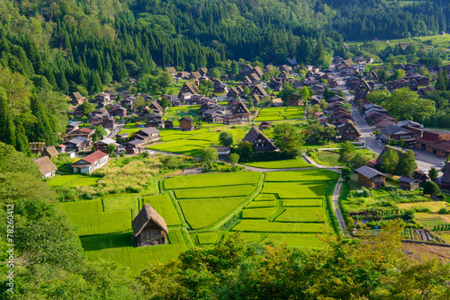 Historic Village of Shirakawa-go in summer photo