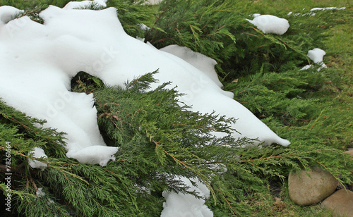 Tableau sur toile snow in summer