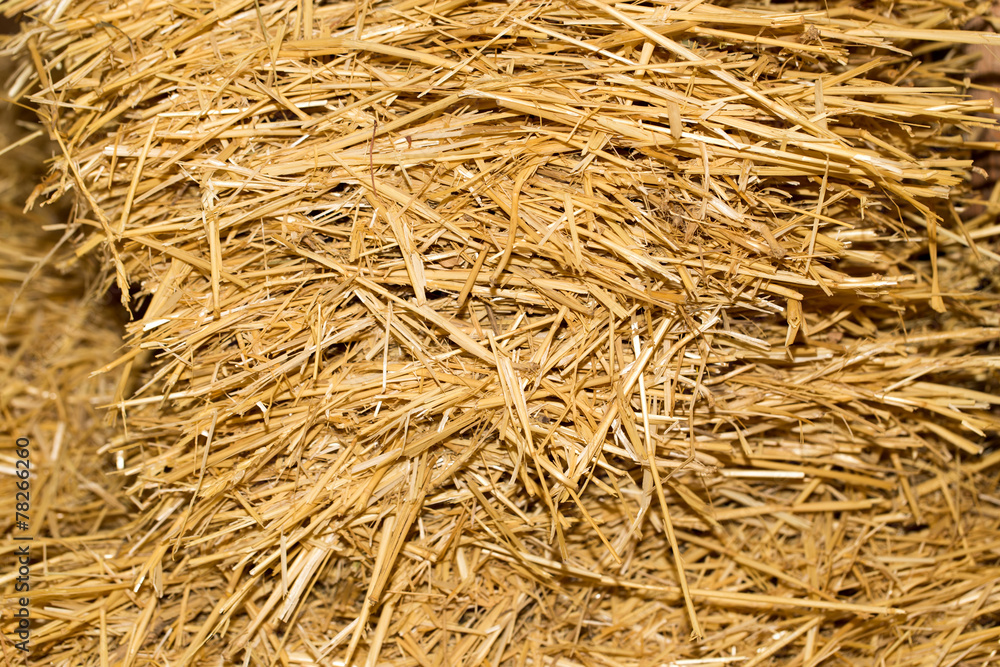 background of dry hay background of dry hay