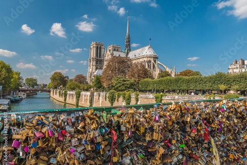 Locks at the bridge near Notre Dame Cathedral in Paris