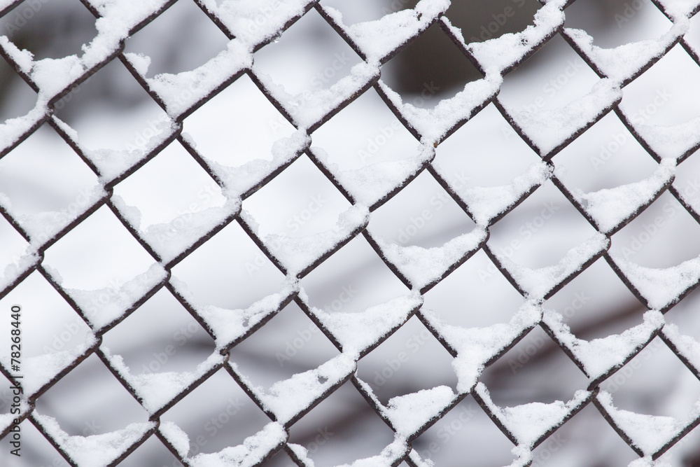 Fototapeta premium Close-up of barbwire covered by snow