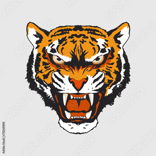 Fototapeta Naklejka Na Ścianę i Meble -  The Spirit of Tiger