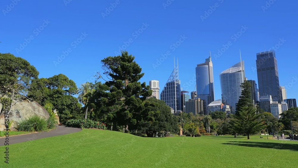 Panning shot of Sydney City Skyline, Royal Botanic Garden Panning shot of Sydney City Skyline, Royal Botanic Garden