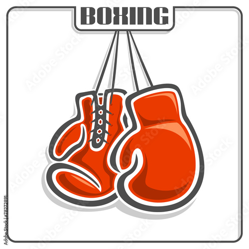The image of boxing gloves