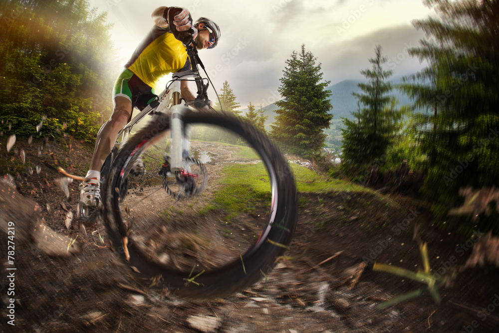 Sport. Mountain Bike cyclist riding single track - obrazy, fototapety, plakaty 