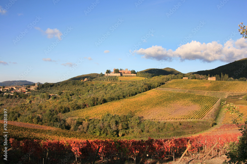 Toscana,vigneti in autunno.
