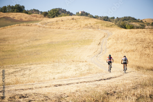 Cyclists among a field of wheat