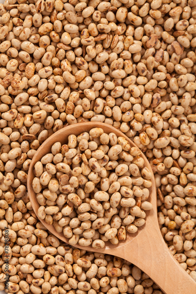 Obraz premium Soy background with large spoone full with seeds