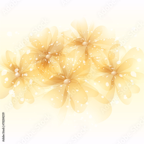 Fototapeta Naklejka Na Ścianę i Meble -  vector background with flowers