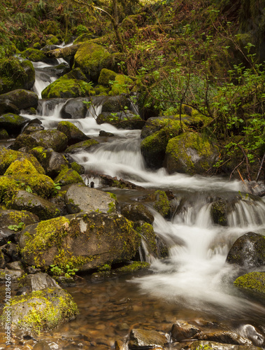 Fototapeta Naklejka Na Ścianę i Meble -  Waterfall at Eagle Creek