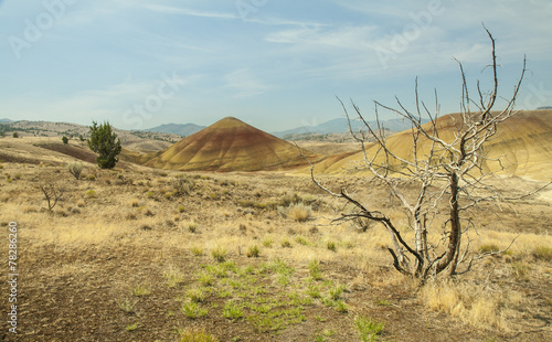 Painted hills Oregon 11