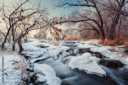 Winter forest. River Krinka...