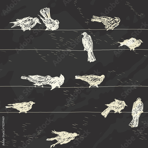 Vector seamless  of birds on  wires at Chalkboard Style