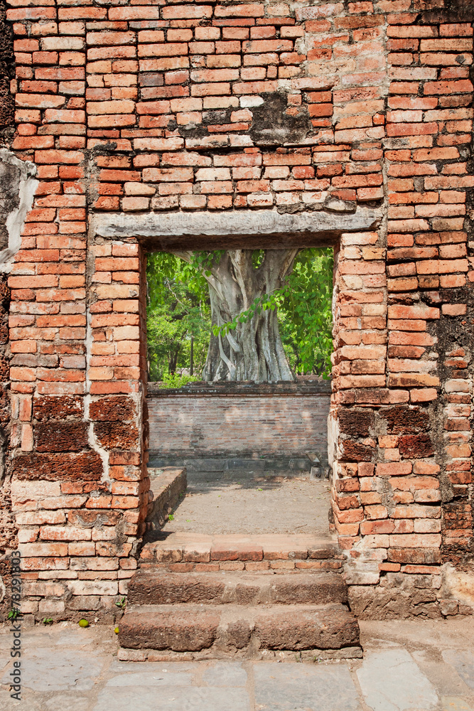 see through the door of a ruin to the green tree see through the door of a ruin to the green tree