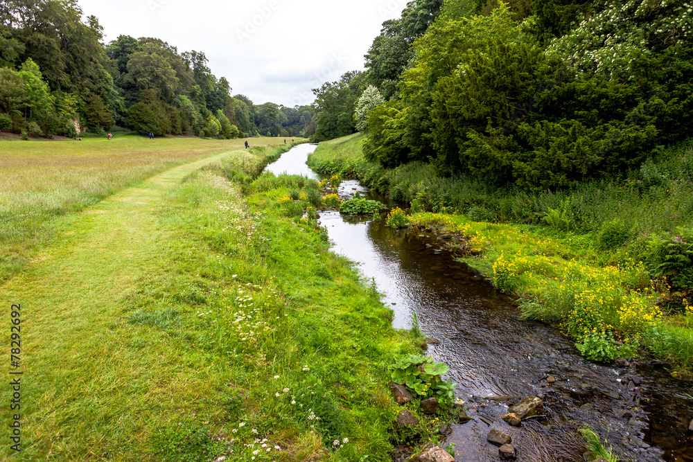 Stream in North Yorkshire