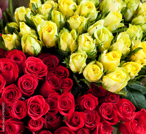 red and yellow roses, background and texture