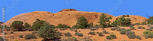 Whale Rock