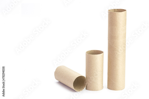 Paper tube of toilet paper