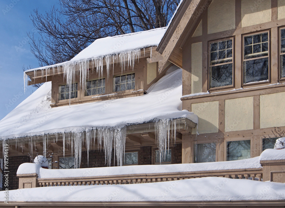 Obraz premium House with icicles