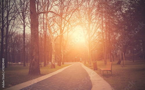 Park in sunset photo