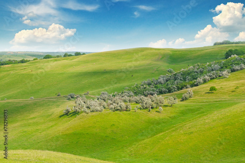 green field and blue sky with light clouds