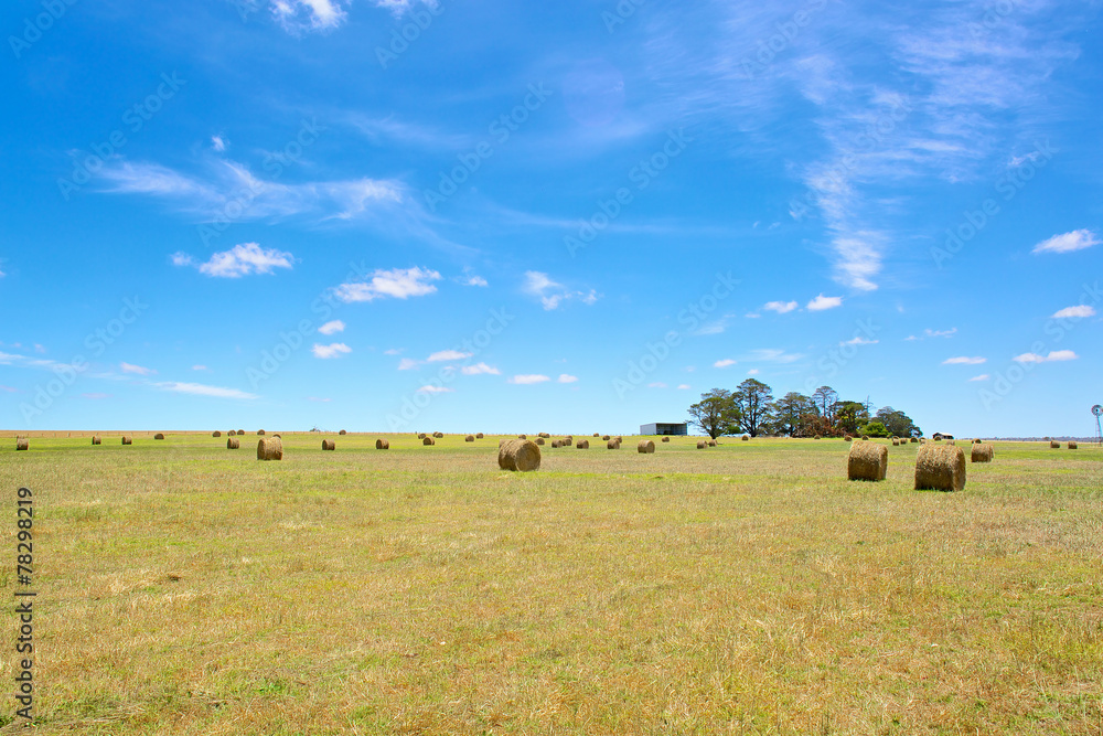 Australian rural field landscape with haystacks and blue sky Australian rural field landscape with haystacks and blue sky