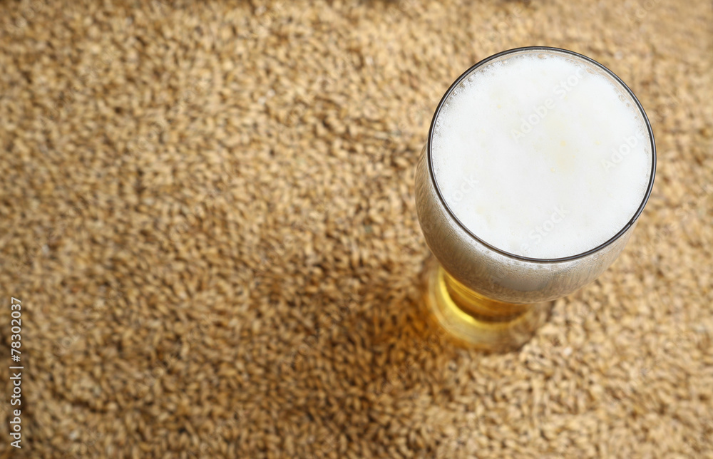 Malt and beer Malt and beer