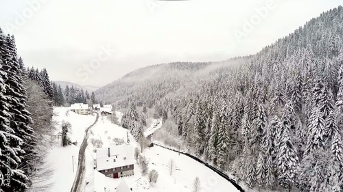 flying over pine forest, black forest, germany