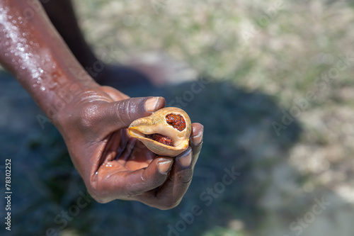 shell in a man's hand on the background of sea