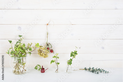 白い壁 植物 飾り棚