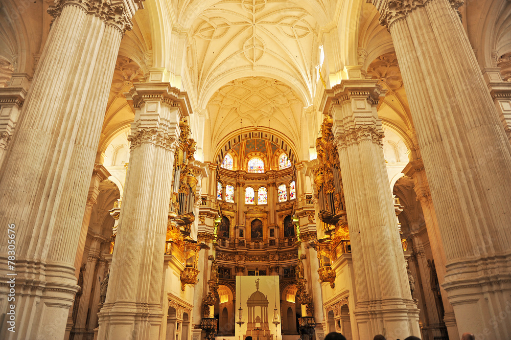 Cathedral of Granada, indoor, Andalusia, Spain Cathedral of Granada, indoor, Andalusia, Spain