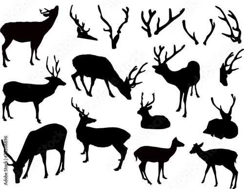 Fototapeta Naklejka Na Ścianę i Meble -  ten deer and antler silhouettes isolated on white