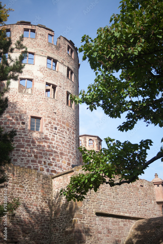 Heidelberg - stone castle