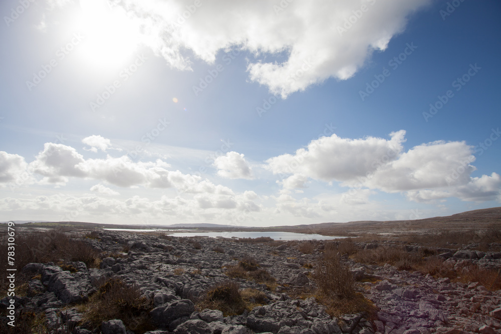 Fototapeta premium Irish landscape