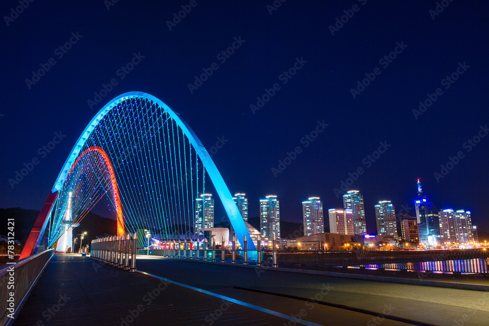 Obraz premium Expro bridge at night in daejeon,korea.