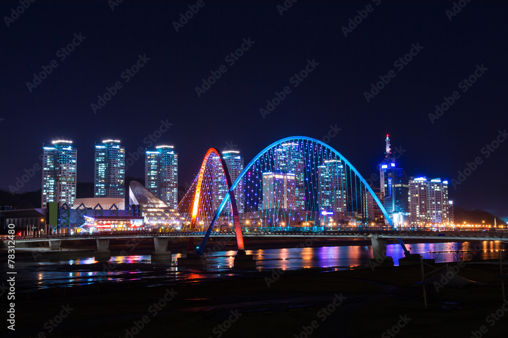 Obraz premium Expro bridge at night in daejeon,korea.