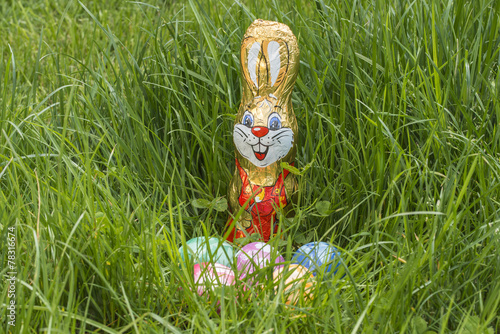 Osternest in tiefem Gras